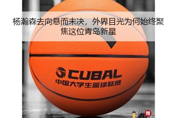 杨瀚森去向悬而未决，外界目光为何始终聚焦这位青岛新星